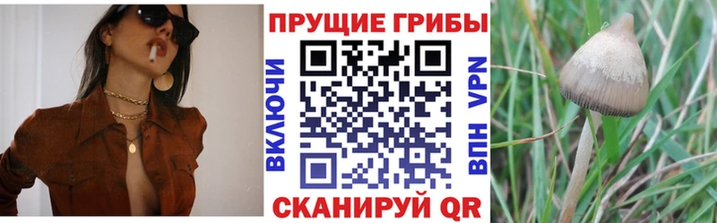 Галлюциногенные грибы GOLDEN TEACHER Энгельс